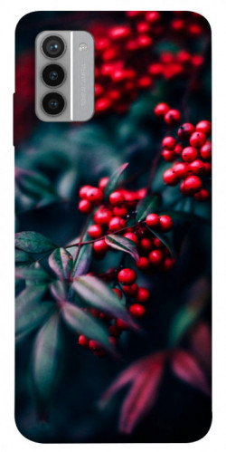 Чехол itsPrint Red berry для Nokia G42