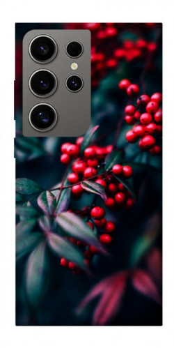 Чехол itsPrint Red berry для Samsung Galaxy S24 Ultra