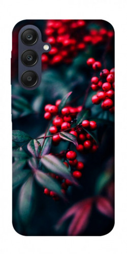 Чехол itsPrint Red berry для Samsung Galaxy A25 5G