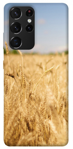 Чехол itsPrint Поле пшеницы для Samsung Galaxy S21 Ultra