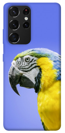 Чехол itsPrint Попугай ара для Samsung Galaxy S21 Ultra