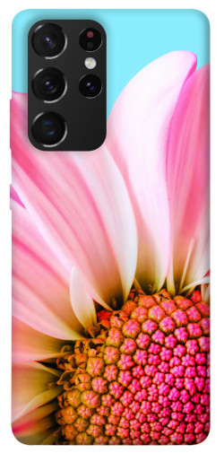 Чехол itsPrint Цветочные лепестки для Samsung Galaxy S21 Ultra