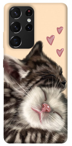 Чохол itsPrint Cats love для Samsung Galaxy S21 Ultra
