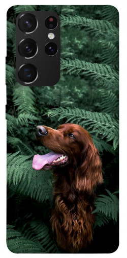 Чехол itsPrint Собака в зелени для Samsung Galaxy S21 Ultra