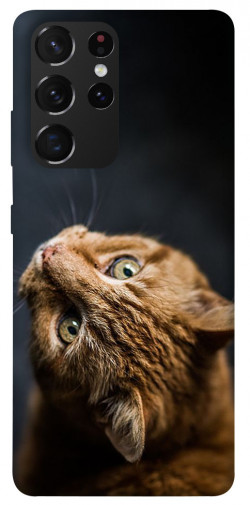 Чехол itsPrint Рыжий кот для Samsung Galaxy S21 Ultra