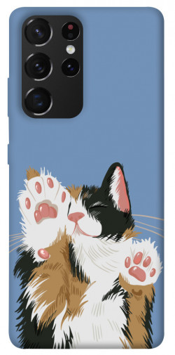 Чохол itsPrint Funny cat для Samsung Galaxy S21 Ultra