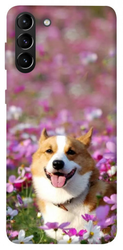 Чехол itsPrint Корги в цветах для Samsung Galaxy S21+