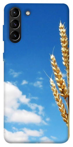 Чехол itsPrint Пшеница для Samsung Galaxy S21+