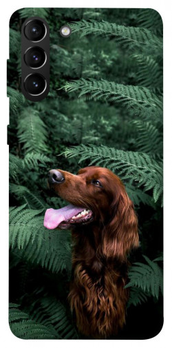 Чехол itsPrint Собака в зелени для Samsung Galaxy S21+