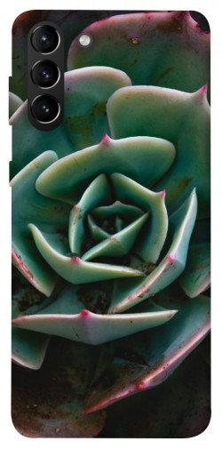 Чехол itsPrint Эхеверия для Samsung Galaxy S21+