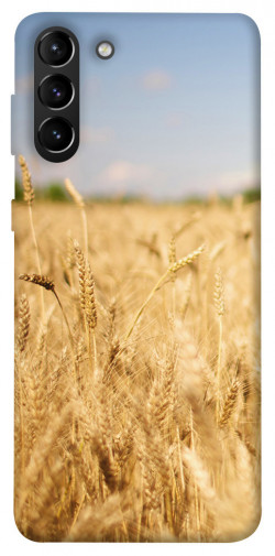 Чехол itsPrint Поле пшеницы для Samsung Galaxy S21+