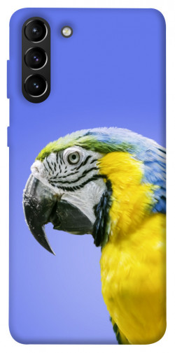 Чехол itsPrint Попугай ара для Samsung Galaxy S21+