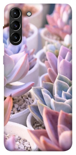 Чехол itsPrint Эхеверия 2 для Samsung Galaxy S21+