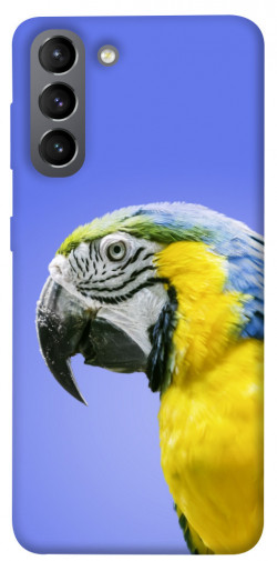 Чехол itsPrint Попугай ара для Samsung Galaxy S21
