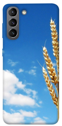 Чехол itsPrint Пшеница для Samsung Galaxy S21