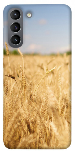 Чехол itsPrint Поле пшеницы для Samsung Galaxy S21