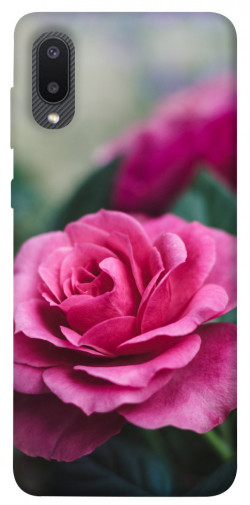 Чохол itsPrint Троянда у саду для Samsung Galaxy A02