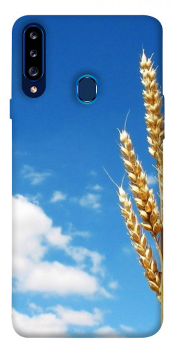 Чохол itsPrint Пшениця для Samsung Galaxy A20s