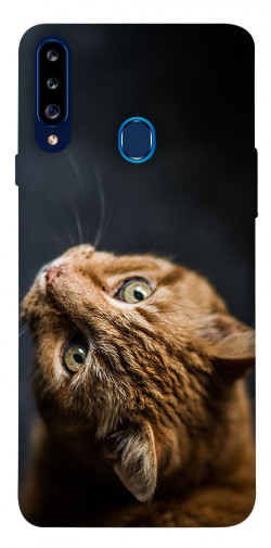 Чохол itsPrint Рудий кіт для Samsung Galaxy A20s