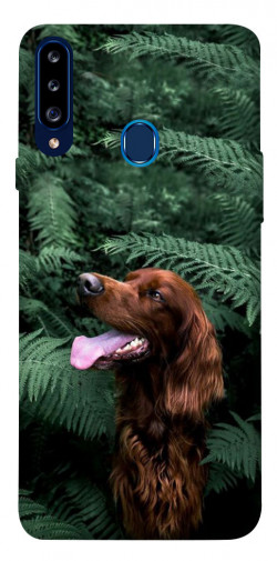 Чохол itsPrint Собака у зелені для Samsung Galaxy A20s