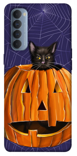 Чехол itsPrint Cat and pumpkin для Oppo Reno 4 Pro