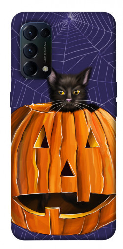 Чохол itsPrint Cat and pumpkin для Oppo Reno 5 4G