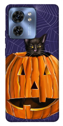 Чехол itsPrint Cat and pumpkin для Motorola Edge 40