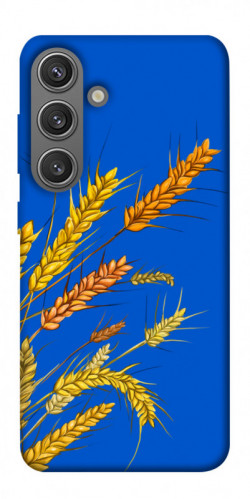 Чехол itsPrint Колоски для Samsung Galaxy S24