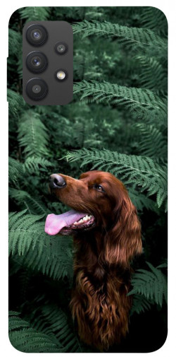 Чехол itsPrint Собака в зелени для Samsung Galaxy A32 (A325F) 4G