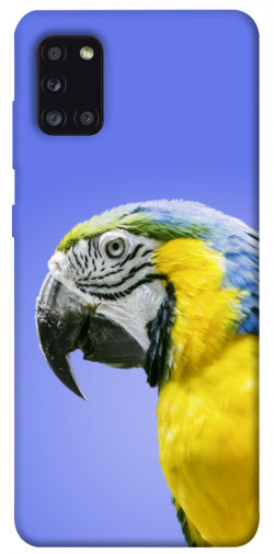 Чехол itsPrint Попугай ара для Samsung Galaxy A31