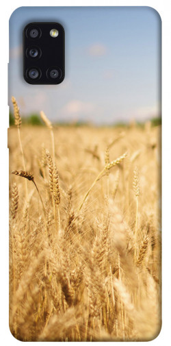 Чехол itsPrint Поле пшеницы для Samsung Galaxy A31