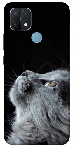 Чохол itsPrint Cute cat для Oppo A15s / A15