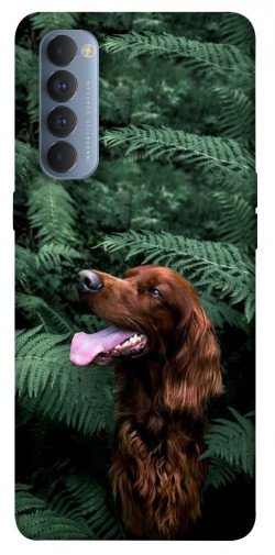 Чехол itsPrint Собака в зелени для Oppo Reno 4 Pro