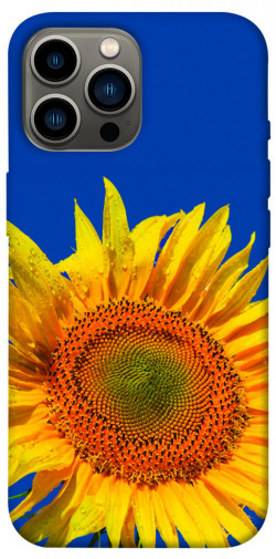 Чехол itsPrint Sunflower для Apple iPhone 13 Pro Max (6.7")