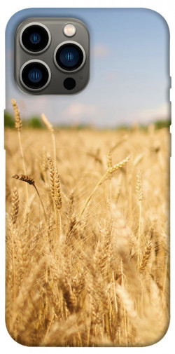 Чехол itsPrint Поле пшеницы для Apple iPhone 13 Pro Max (6.7")