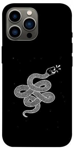 Чехол itsPrint Змея для Apple iPhone 13 Pro Max (6.7")