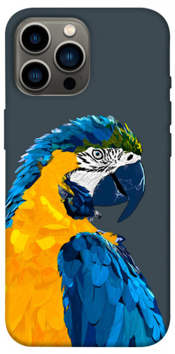 Чехол itsPrint Попугай для Apple iPhone 13 Pro Max (6.7")