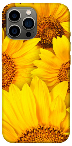Чехол itsPrint Букет подсолнухов для Apple iPhone 13 Pro Max (6.7")