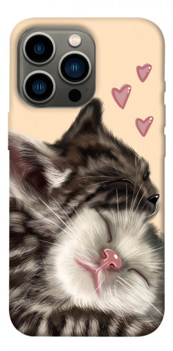 Чехол itsPrint Cats love для Apple iPhone 13 Pro (6.1")