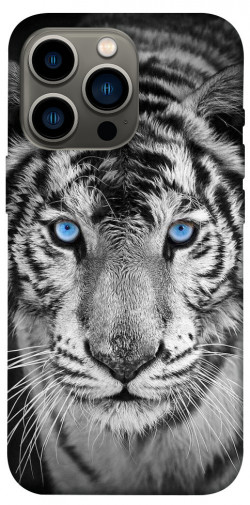 Чехол itsPrint Бенгальский тигр для Apple iPhone 13 Pro (6.1")