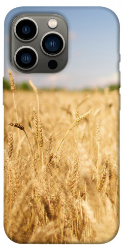 Чехол itsPrint Поле пшеницы для Apple iPhone 13 Pro (6.1")