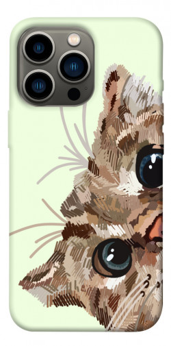 Чохол itsPrint Cat muzzle для Apple iPhone 13 Pro (6.1")