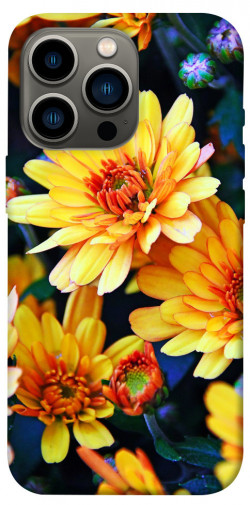 Чехол itsPrint Yellow petals для Apple iPhone 13 Pro (6.1")