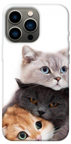 Чехол itsPrint Три кота для Apple iPhone 13 Pro (6.1")