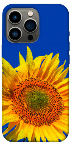 Чехол itsPrint Sunflower для Apple iPhone 13 Pro (6.1")
