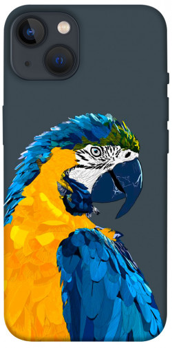 Чехол itsPrint Попугай для Apple iPhone 13 (6.1")