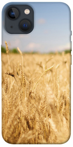 Чехол itsPrint Поле пшеницы для Apple iPhone 13 (6.1")