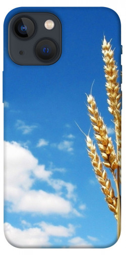 Чехол itsPrint Пшеница для Apple iPhone 13 mini (5.4")