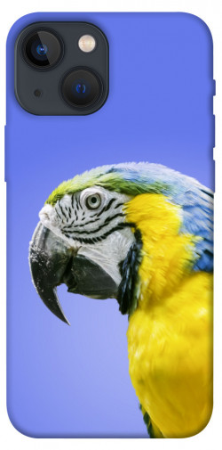 Чехол itsPrint Попугай ара для Apple iPhone 13 mini (5.4")