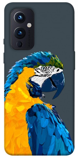 Чехол itsPrint Попугай для OnePlus 9